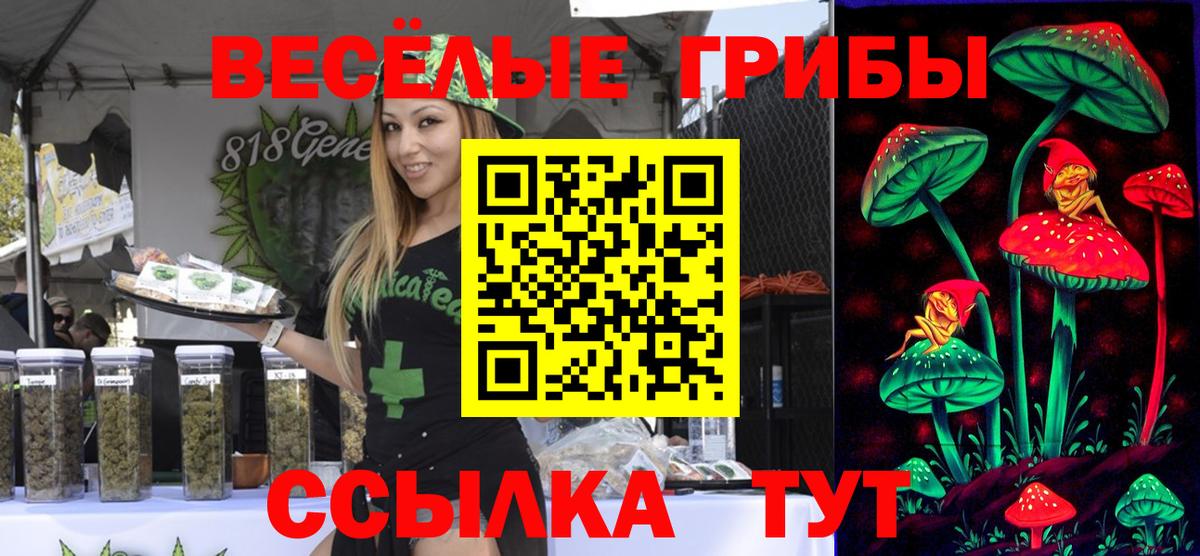 Галлюциногенные грибы ЛСД Павловский Посад