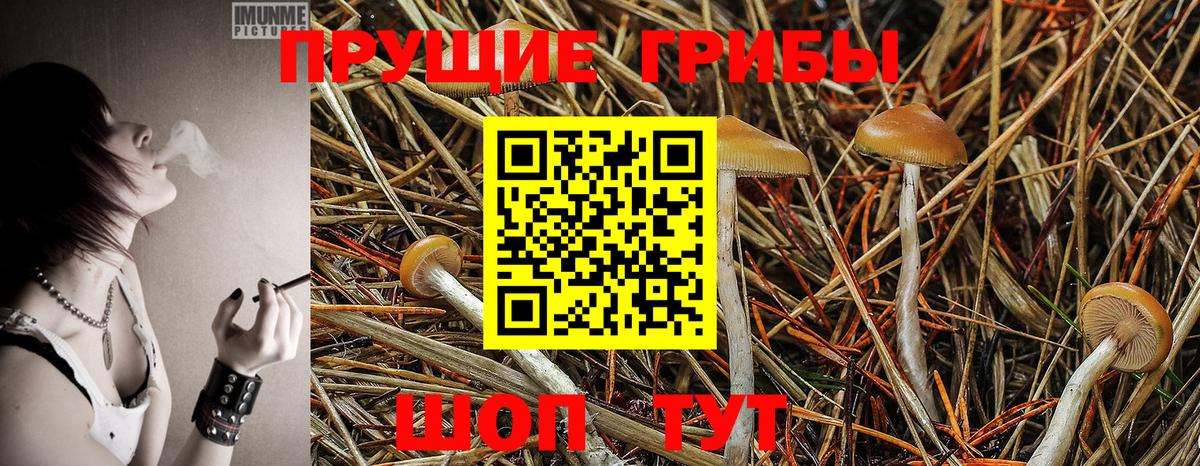 Псилоцибиновые грибы MAGIC MUSHROOMS  Вход с VPN  Павловский Посад 